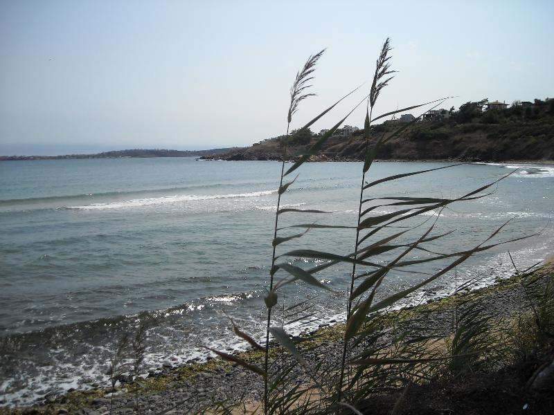 Black Sea Star Chernomorets Buitenkant foto